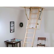 Чердачная лестница Extra+ 120x70 фото