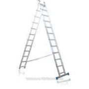 Лестница двухсекционная Tarko 2x14 01214 фотография