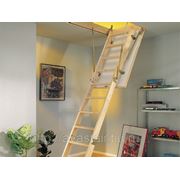 Чердачная лестница Hobby 120x60 фото