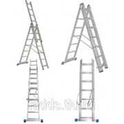 Каталог:трехсекционные лестницы:WG-606-14