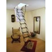 Раздвижная чердачная лестница Ножничная Termo фото