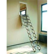 Раздвижная чердачная лестница Ножничная Verticale фото