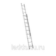 Каталог:двухсекционные лестницы:WG605-9