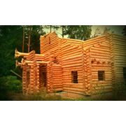 Производство деревянных домов срубов фото