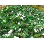 Стеклобой зеленый (ЗС) фото