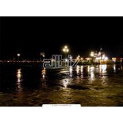 Беловежская пуща фото