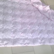 Одеяло пуховое 172х205 фото