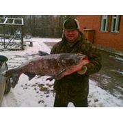 Тур на рыбалку Беларусь база отдыха "Актам"