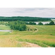 Тур на рыбалку на Браславские озера фото