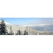 Тур горнолыжный Болгария Витоша фото