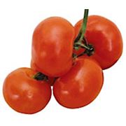 Плоды томата Гибрид F1 «Грейс» фото