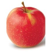 Яблоки кортланд фотография