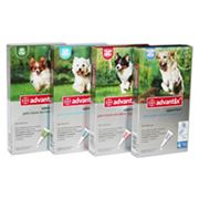 Комбинированный инсекто-акарицидный препарат для собак Адвантикс фото