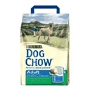 DOG CHOW для взрослых собак крупных пород 15 кг