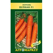 Семена моркови сорт Вулкан F1. Опт фото