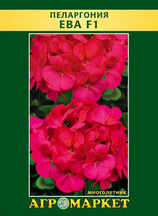 пеларгония зональная marena. пеларгония зональная. тюльпановидная пеларгония махровая. минске пеларгонии. Pac salmon princess пеларгония (герань).