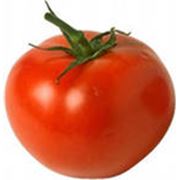 Семена помидоров фото