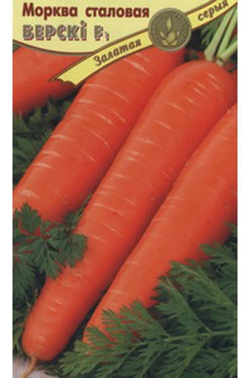 Мссо каталог. Морковь Берски. Морковь Берски отзывы. Морковь Берски описание сорта фото отзывы. Морковь Берски f1 190шт/10.