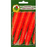 Морковь Амстердам фото