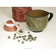 Фитотерапия фото