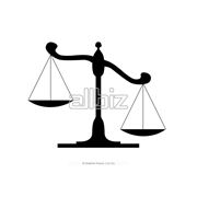 Представление интересов в суде и государственных учреждениях