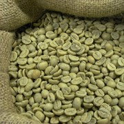 Кофе зеленый Robusta Vietnam Gr2 scr 13/14 (5% bb) 60 kg фото