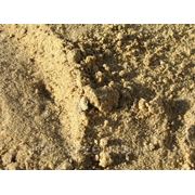 Речной песок. Доставка от 5 тн. фотография