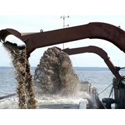 Морской песок с доставкой в СПб фото