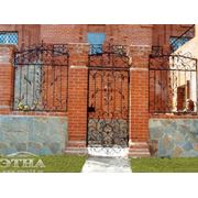Кованые ворота, двери и заборы фотография