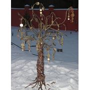 Кованый талисман «денежное дерево» фотография