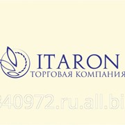 Паштет по домашнему фото