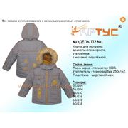 Куртка для мальчика дошкольного возраста модель: П2301 (минимальный заказ коллекции от 50 единиц)