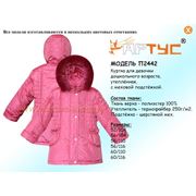 Куртка для девочки дошкольного возраста модель: П2442 (минимальный заказ коллекции от 50 единиц) фото