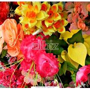 Цветы искусственные в ассортименте фото