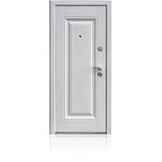 Тёплая дверь ТД-801