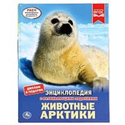 Энциклопедия “Умка“ Животные Арктики А4 с развивающими заданиями фото
