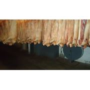 Мясо свинины фотография