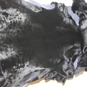 Каракульча - голяк черная фото
