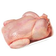 Тушка цыпленка Бройлера замороженная фото