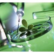 Лекарственные полуфабрикаты фото