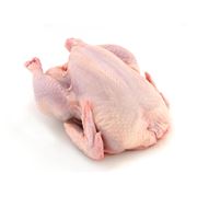Тушка цыпленка-бройлера фото