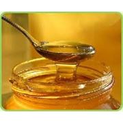 Мёд с маточным молочком фотография