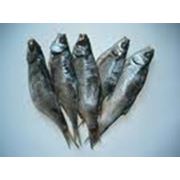 Рыба сушено-вяленая фото