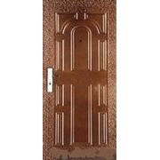 Дверь входная металлическая Rait-02 фотография