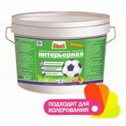 Краска ВД АК интерьерная фото