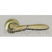 Ручка дверная Platinum Z-58 матовое золото фото