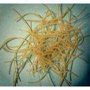 Макаронные изделия Вермишель фото