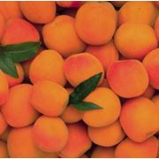 Нектар абрикосовый