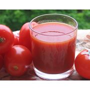 Сок томатный фотография