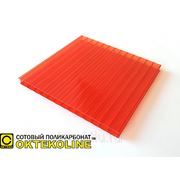 Сотовый поликарбонат 4 мм красный, 2,10х12м фотография